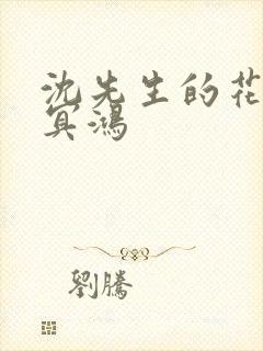 沈先生的花式调冥鸿