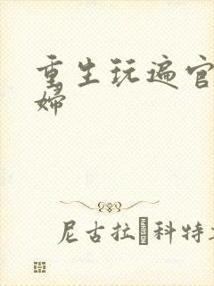 重生玩遍官场贵妇