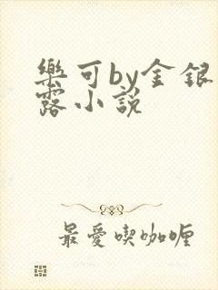 乐可by金银花露小说