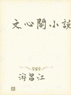 文心阁小说