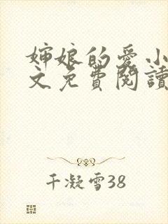 婶娘的爱小说全文免费阅读