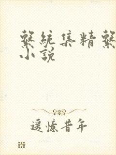 系统集精系统 小说