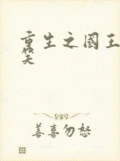 重生之国王的微笑