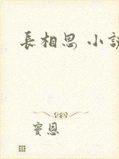 长相思 小说
