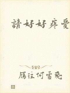 请好好疼爱里面