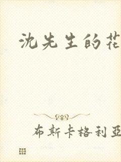 沈先生的花式调