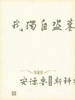 我独自盗墓
