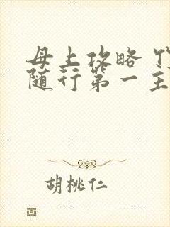 母上攻略 竹影随行第一主板