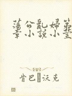 荡公乱妇第51章小说小莹