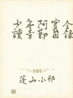 少年阿宾全文阅读章节目录