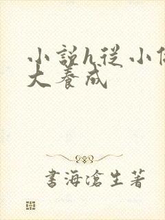 小说h从小做到大养成