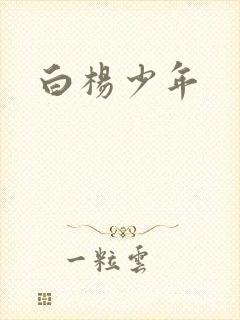 白杨少年