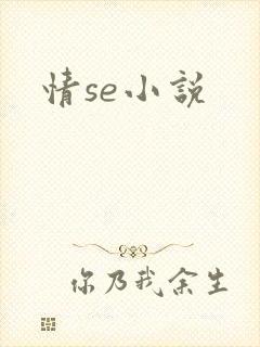 情se小说
