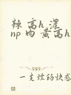 辣 高h 浓 np 肉 黄高h
