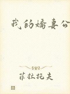 我的娇妻公务员