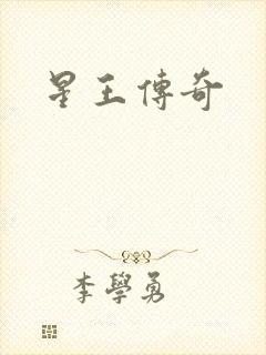 星王传奇