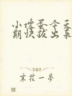 小坏蛋今天危险期快拔出来