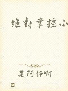绝对掌控小说