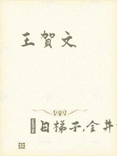 王贺文