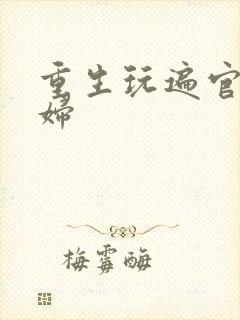 重生玩遍官场贵妇