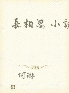长相思 小说