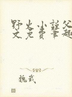 野火小说父女全文免费笔趣阁