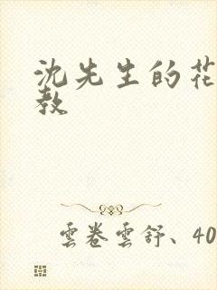 沈先生的花式管教