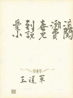 爱到春潮滚滚来小说免费阅读