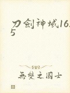 刀剑神域16.5