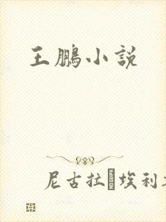 王鹏小说