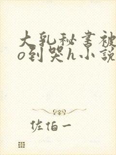 大乳秘书被cao到哭h小说