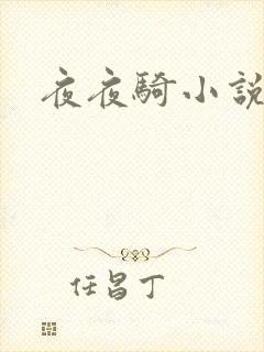夜夜骑小说
