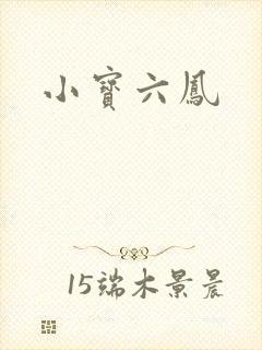 小宝六凤