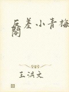 反差小青梅笔趣阁