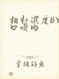 相对湿度BY大口吃肉