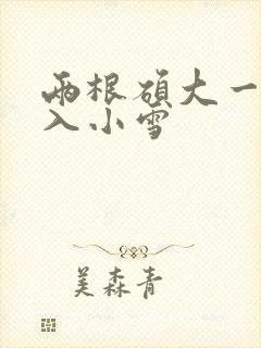 两根硕大一起挤入小雪