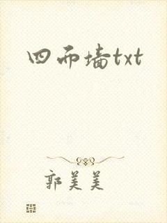 四面墙txt