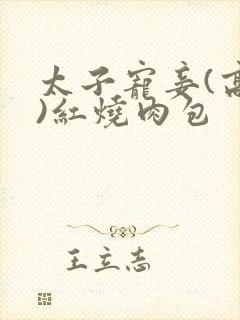 太子宠妾(高肉)红烧肉包