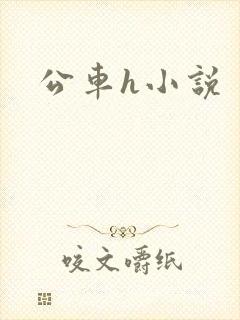 公车h小说