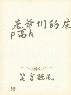 老爷们的床奴np高h