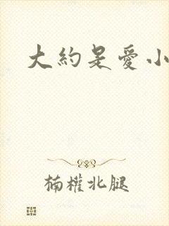 大约是爱小说