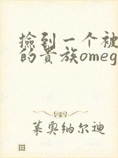 捡到一个被抹布的贵族omega