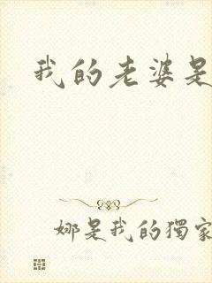 我的老婆是军阀