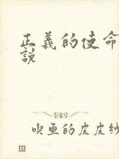 正义的使命 小说