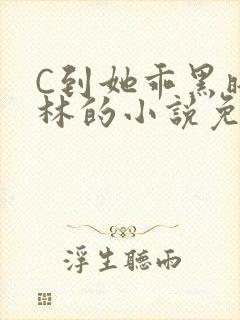 C到她乖黑暗森林的小说免费