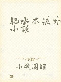 肥水不流外人田小说