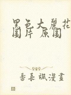 黑色大丽花真实图片 原图