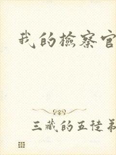 我的检察官先生