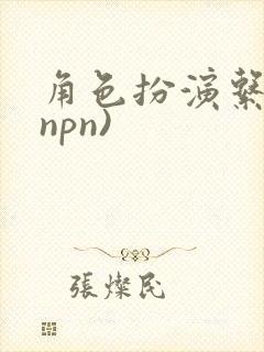 角色扮演系统(npn)