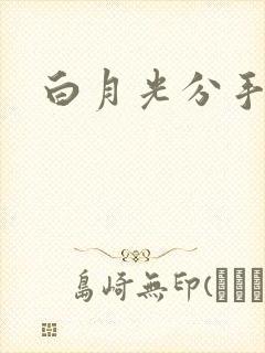 白月光分手日常
